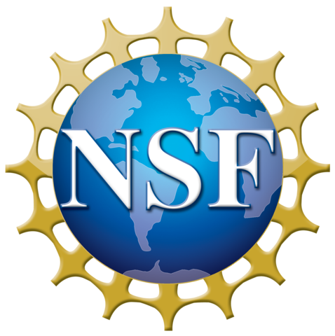 478px-nsf_logo.png