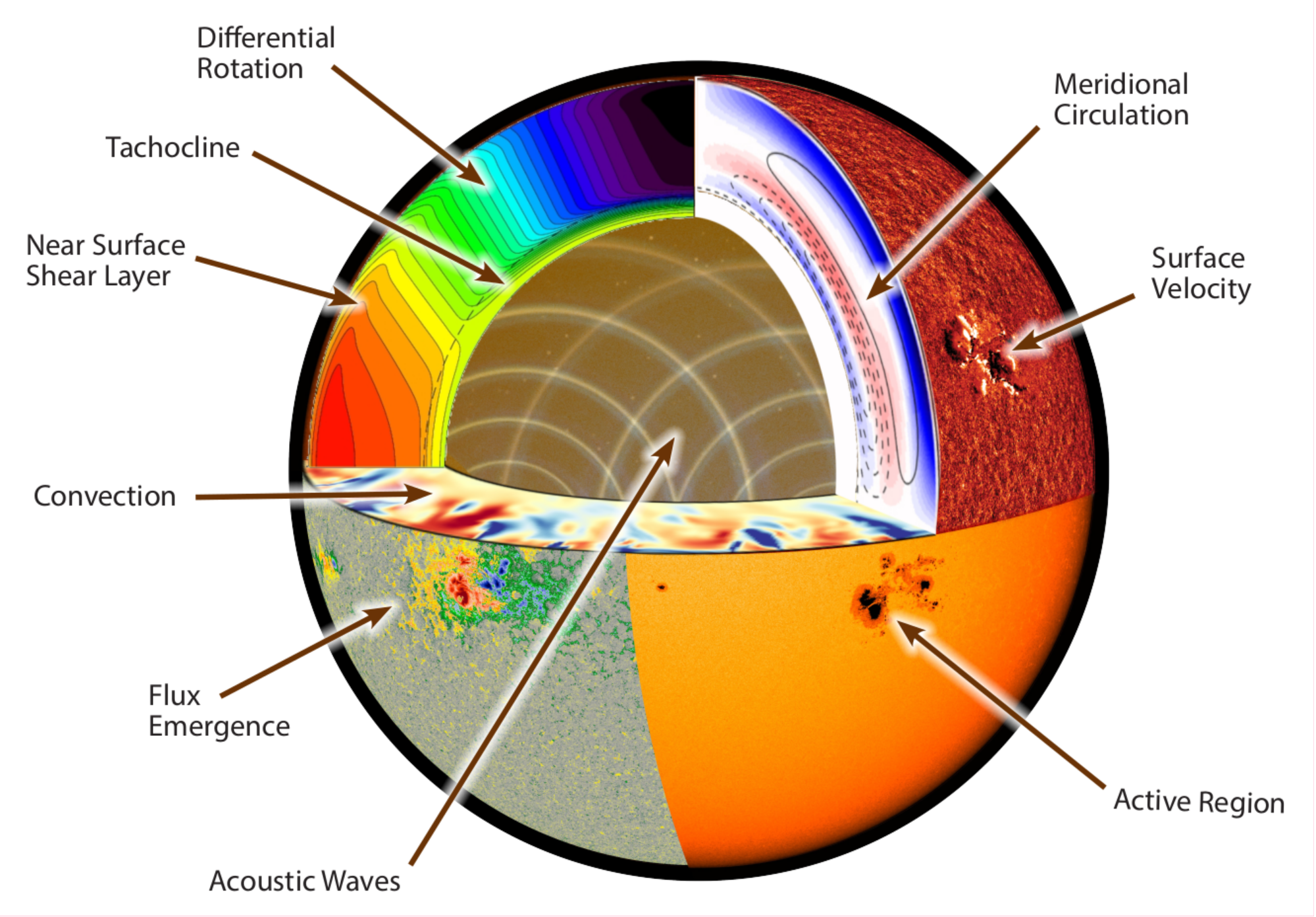 coffies-cutaway-schematic.png