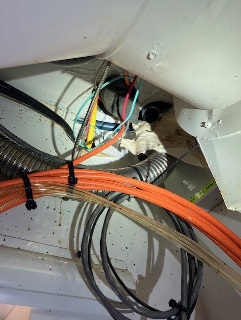 fiber4.jpg