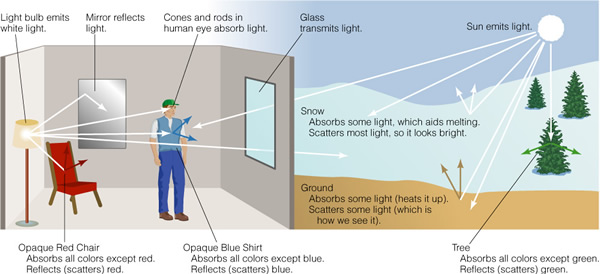 See' the material that absorbs almost all visible light